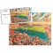 Central Park Stadium Fine Art Jigsaw Puzzle - Wigan Rugby League Central Park Stadium Fine Art Jigsaw Puzzle - Wigan Rugby League
